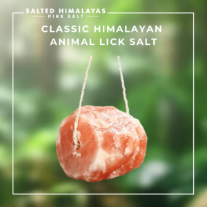 Classic Animal Lick Salt