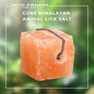 Cube Animal Lick Salt