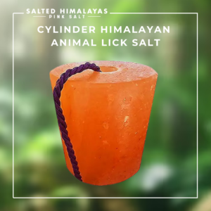 Cylinder Animal Lick Salt