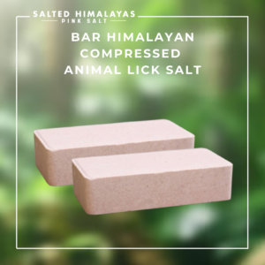 Bar Compressed Animal Lick Salt