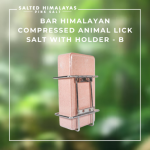 Bar Compressed Animal Lick Salt with Holder - B