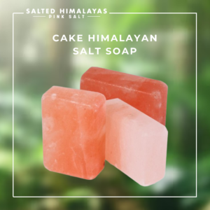 Cake Salt Soap
