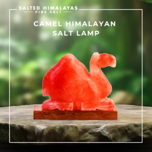 Camel Salt Lamp