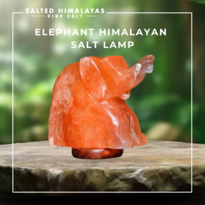 Elephant Salt Lamp