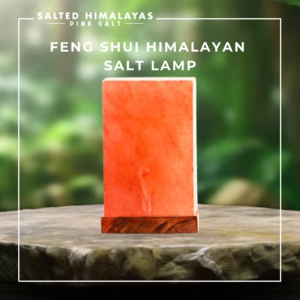 Feng Shui Salt Lamp