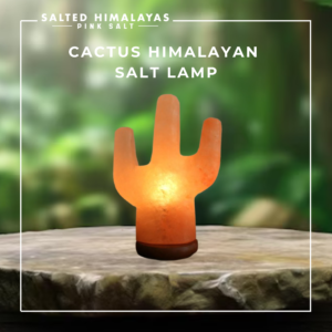 Cactus Salt Lamp