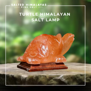 Turtle Salt Lamp